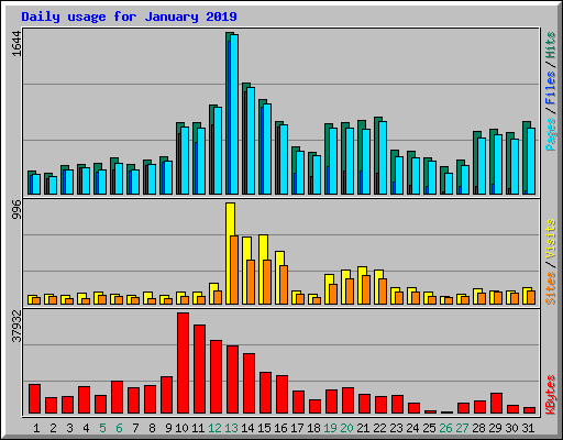 Daily usage for January 2019