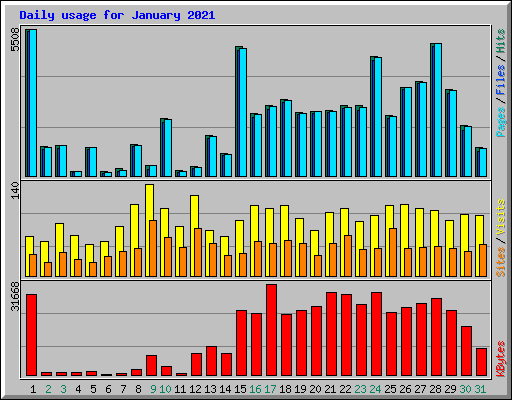 Daily usage for January 2021