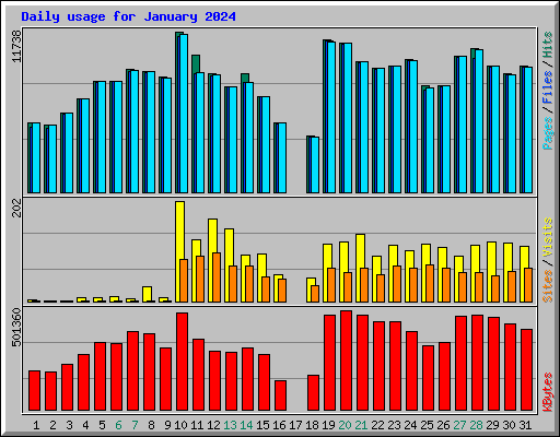 Daily usage for January 2024