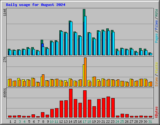 Daily usage for August 2024