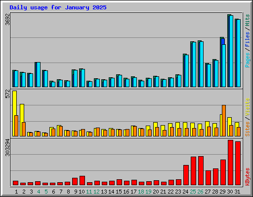 Daily usage for January 2025