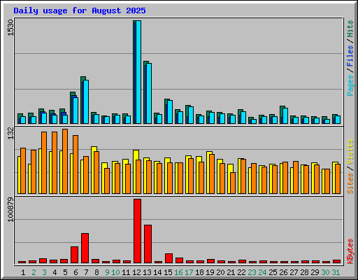 Daily usage for August 2025
