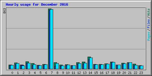 Hourly usage for December 2016