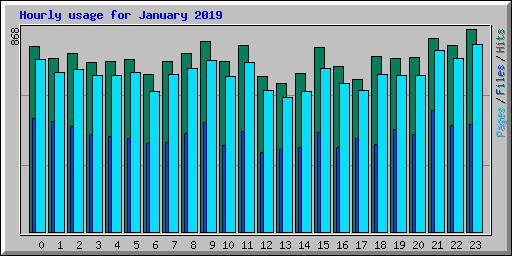 Hourly usage for January 2019