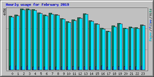 Hourly usage for February 2019