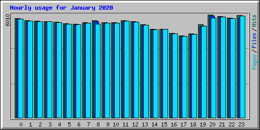 Hourly usage for January 2020