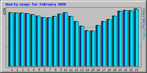 Hourly usage for February 2020