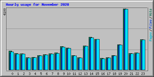 Hourly usage for November 2020