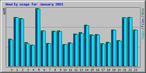 Hourly usage for January 2021