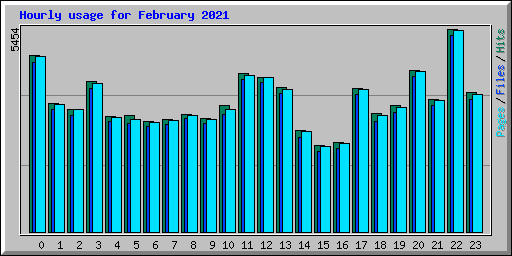 Hourly usage for February 2021