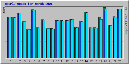 Hourly usage for March 2021