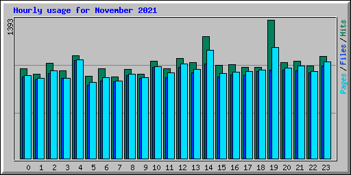 Hourly usage for November 2021