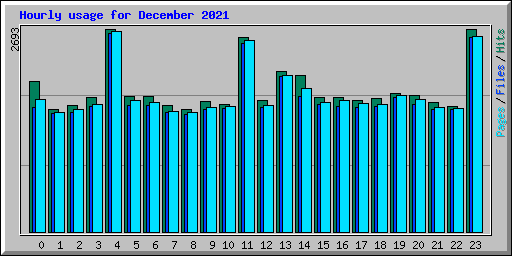 Hourly usage for December 2021
