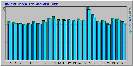 Hourly usage for January 2022