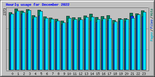 Hourly usage for December 2022