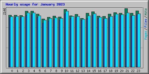 Hourly usage for January 2023