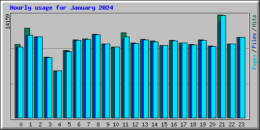 Hourly usage for January 2024