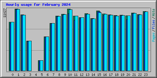 Hourly usage for February 2024