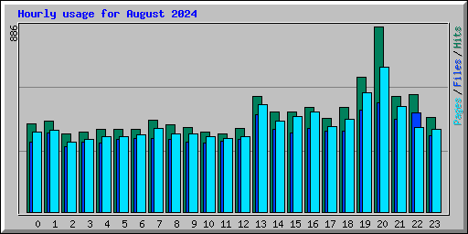 Hourly usage for August 2024
