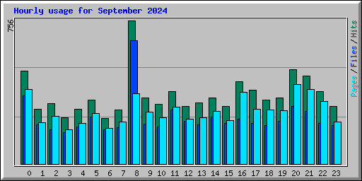 Hourly usage for September 2024
