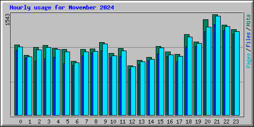 Hourly usage for November 2024