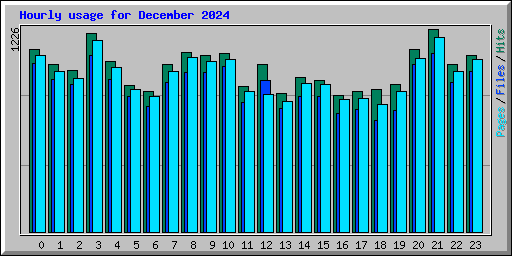 Hourly usage for December 2024