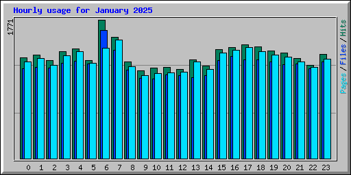 Hourly usage for January 2025