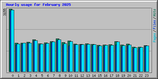 Hourly usage for February 2025