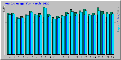 Hourly usage for March 2025
