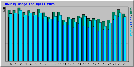 Hourly usage for April 2025