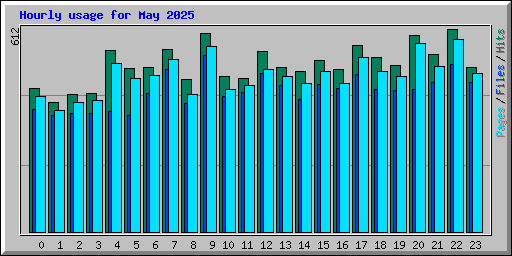 Hourly usage for May 2025