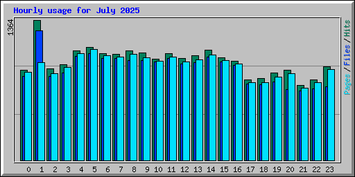 Hourly usage for July 2025
