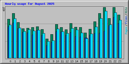 Hourly usage for August 2025