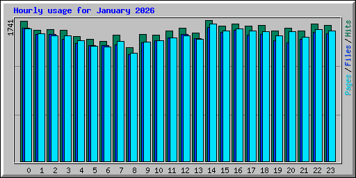 Hourly usage for January 2026