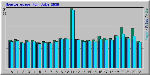 Hourly usage for July 2026